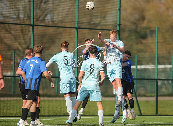 StanhopeRes_2-11_FortunaSwans_153