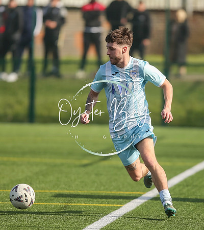 StanhopeRes_2-11_FortunaSwans_288