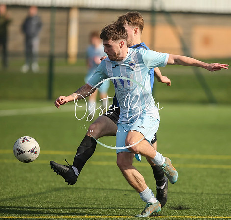 StanhopeRes_2-11_FortunaSwans_292