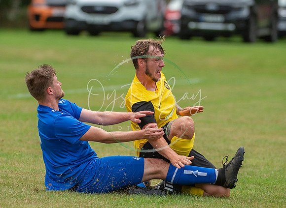Dynamo_2-0_AsfhfordW_221