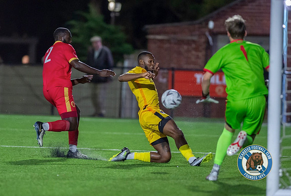 SECFL_WTFC_2-1_BFC_205