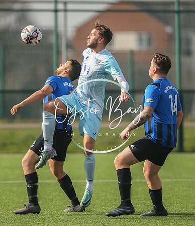 StanhopeRes_2-11_FortunaSwans_427