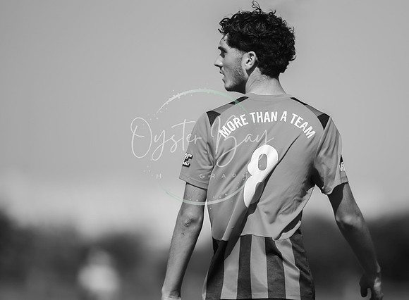 StanhopeRes_MediaandMatch_211
