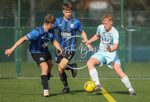 StanhopeRes_2-11_FortunaSwans_264