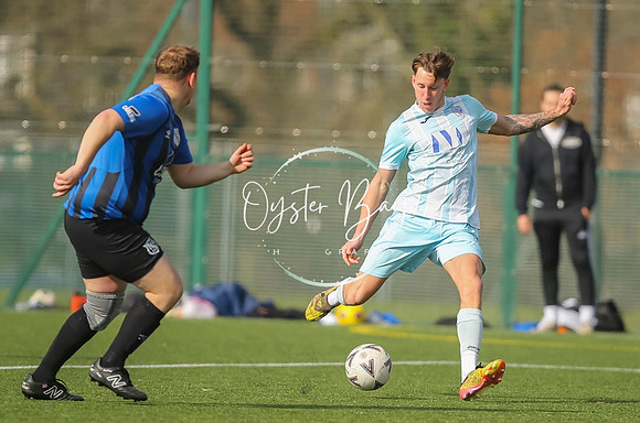 StanhopeRes_2-11_FortunaSwans_402