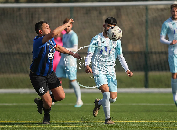 StanhopeRes_2-11_FortunaSwans_110
