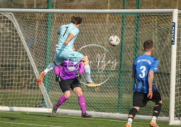 StanhopeRes_2-11_FortunaSwans_297