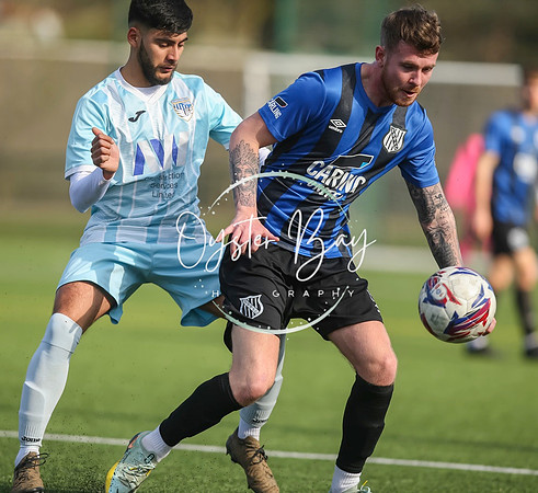 StanhopeRes_2-11_FortunaSwans_196