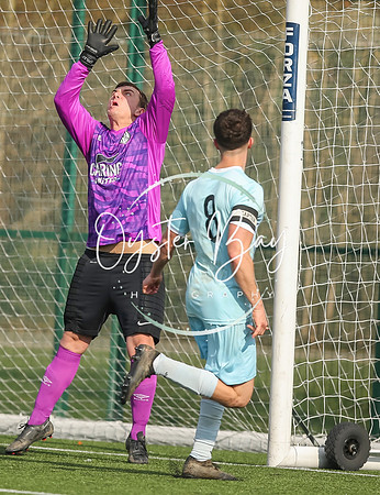 StanhopeRes_2-11_FortunaSwans_334