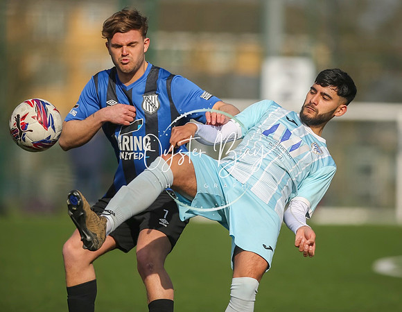 StanhopeRes_2-11_FortunaSwans_181