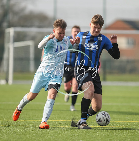 StanhopeRes_2-11_FortunaSwans_399