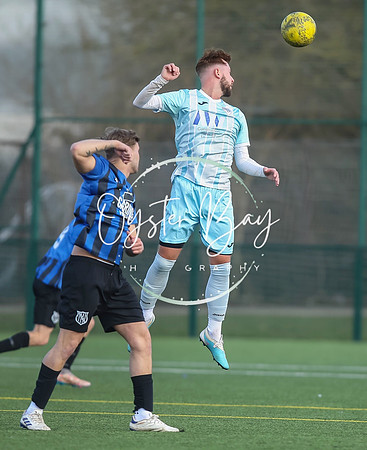 StanhopeRes_2-11_FortunaSwans_216