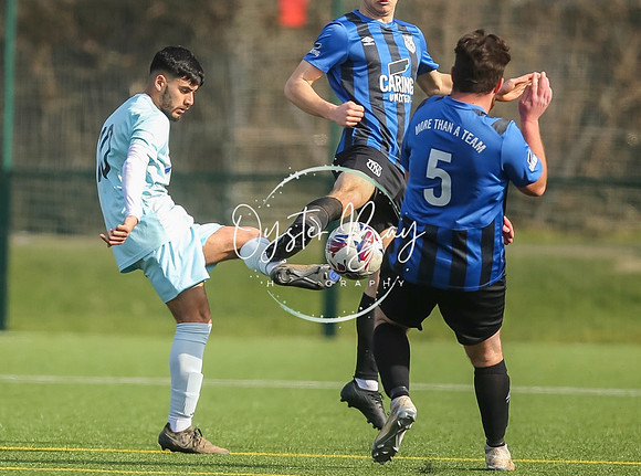 StanhopeRes_2-11_FortunaSwans_183