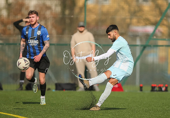 StanhopeRes_2-11_FortunaSwans_117