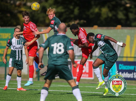 PSF_Ashford_0-1_HytheTown_270