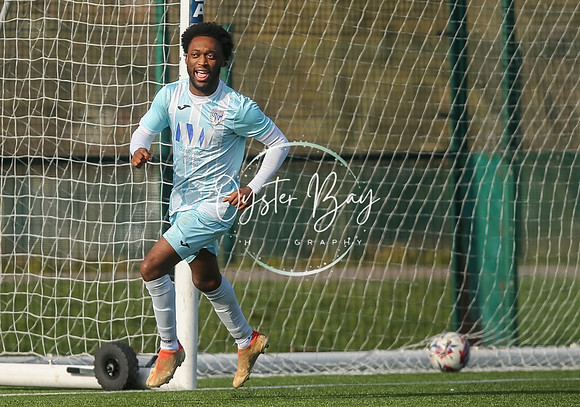 StanhopeRes_2-11_FortunaSwans_074