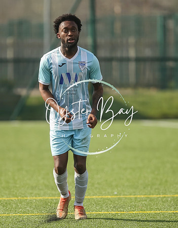 StanhopeRes_2-11_FortunaSwans_438