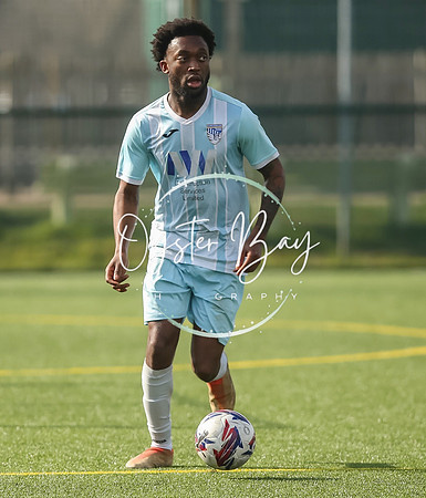 StanhopeRes_2-11_FortunaSwans_436