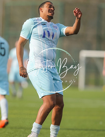 StanhopeRes_2-11_FortunaSwans_421