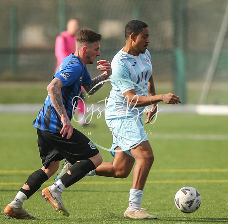 StanhopeRes_2-11_FortunaSwans_362