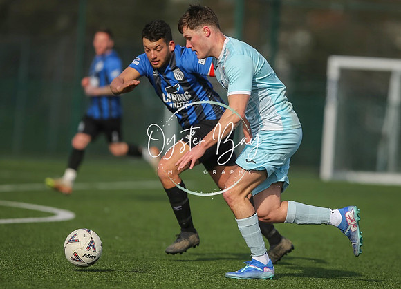 StanhopeRes_2-11_FortunaSwans_105