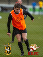 FIFC_v_CAFC_Warmup-fans-020
