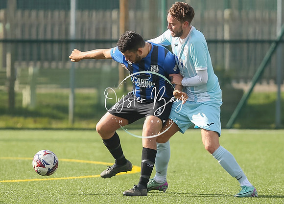 StanhopeRes_2-11_FortunaSwans_429