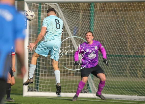 StanhopeRes_2-11_FortunaSwans_303