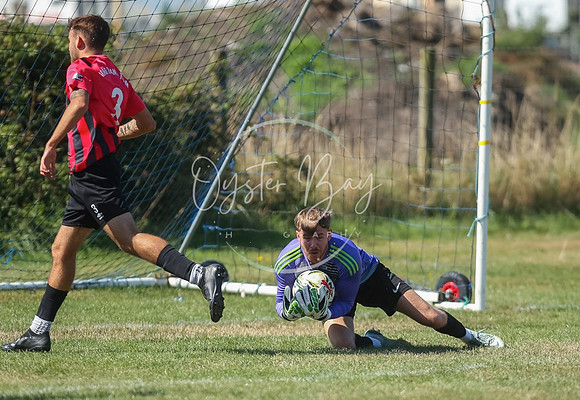 StanhopeRes_MediaandMatch_151