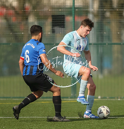 StanhopeRes_2-11_FortunaSwans_371