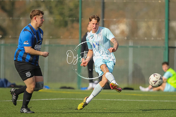 StanhopeRes_2-11_FortunaSwans_404