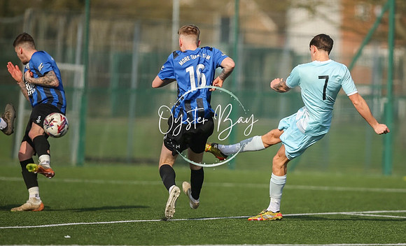 StanhopeRes_2-11_FortunaSwans_069