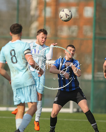 StanhopeRes_2-11_FortunaSwans_415
