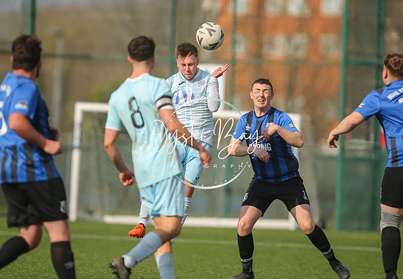 StanhopeRes_2-11_FortunaSwans_414