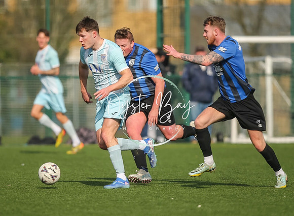 StanhopeRes_2-11_FortunaSwans_170