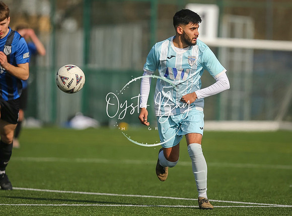 StanhopeRes_2-11_FortunaSwans_137