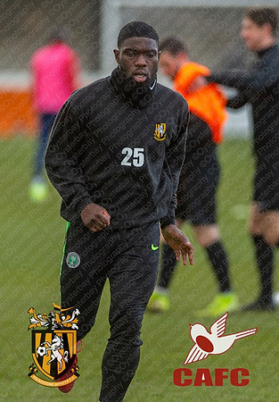 FIFC_v_CAFC_Warmup-fans-021