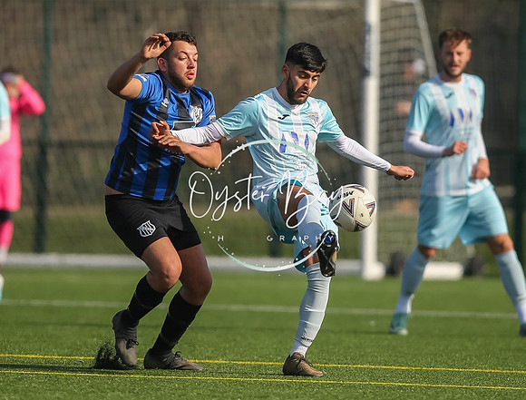 StanhopeRes_2-11_FortunaSwans_111