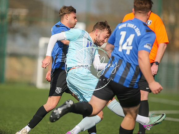StanhopeRes_2-11_FortunaSwans_333
