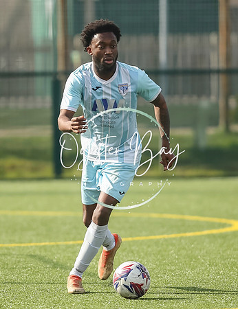StanhopeRes_2-11_FortunaSwans_435