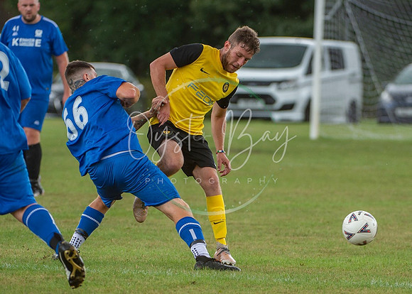 Dynamo_2-0_AsfhfordW_108