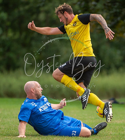 Dynamo_2-0_AsfhfordW_212