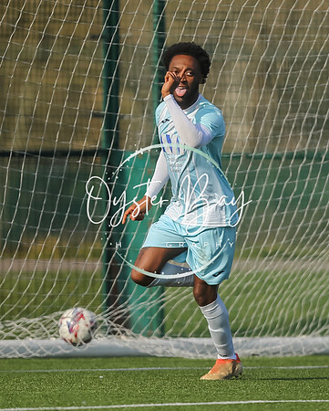 StanhopeRes_2-11_FortunaSwans_073