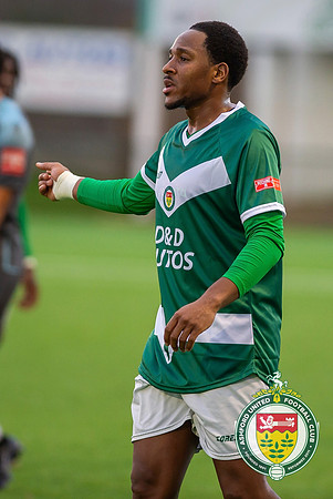 Ashford_3-2_ThreeBridges_127