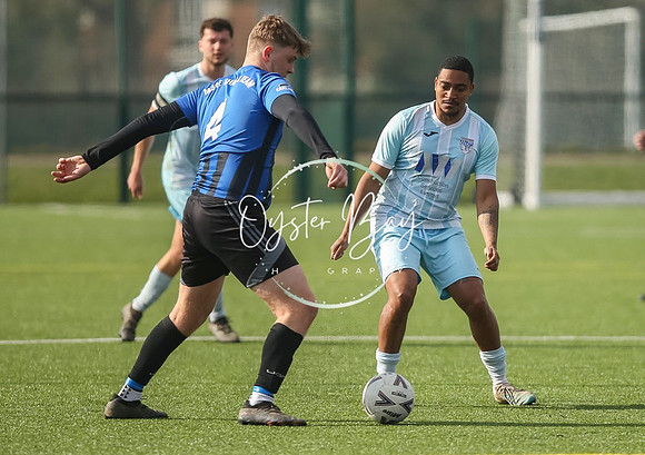 StanhopeRes_2-11_FortunaSwans_370
