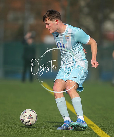 StanhopeRes_2-11_FortunaSwans_103
