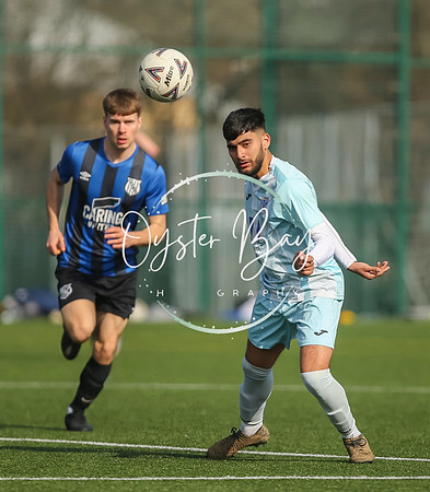 StanhopeRes_2-11_FortunaSwans_136