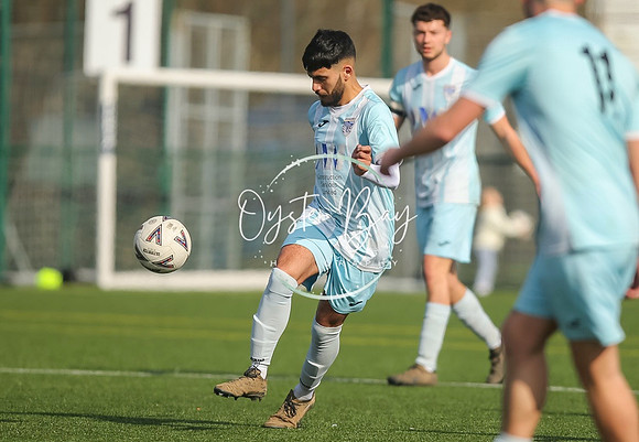 StanhopeRes_2-11_FortunaSwans_159