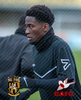FIFC_v_CAFC_Warmup-fans-006