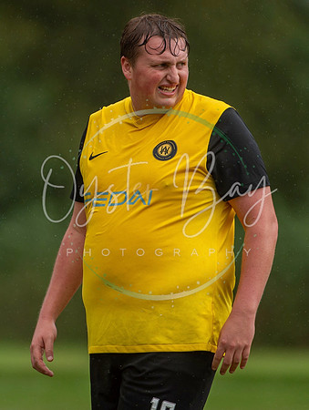 Dynamo_2-0_AsfhfordW_250